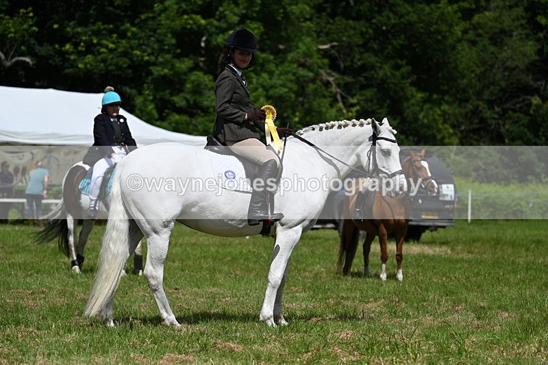 WJ7_1812 - Class 9 Pony Club Pony