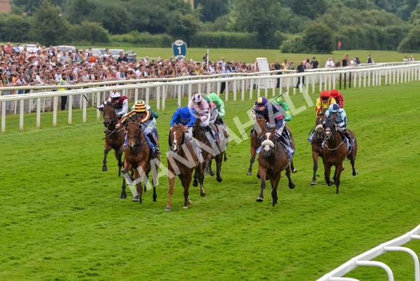 170623-Race 2-Wild Lion-6981 - Race 2 2.35pm Sky Bet Handicap