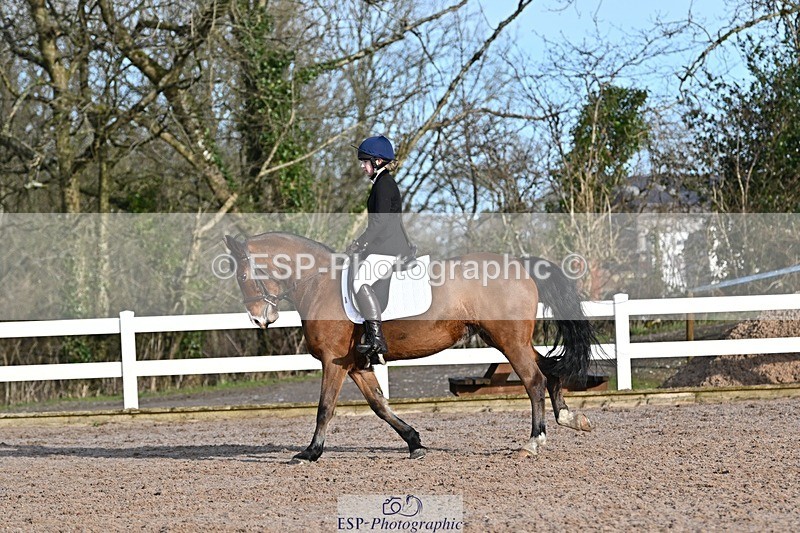 250125-104012-00203 - Dressage - CT Class 4 BE95 (80cm)