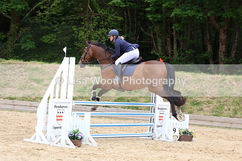 3E7A6324 - Class 4: Senior British Novice/90cm open