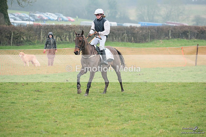 PtP 100324 366 - Pytchley with Woodland Point-to-Point Guilsborough 10/03/24
