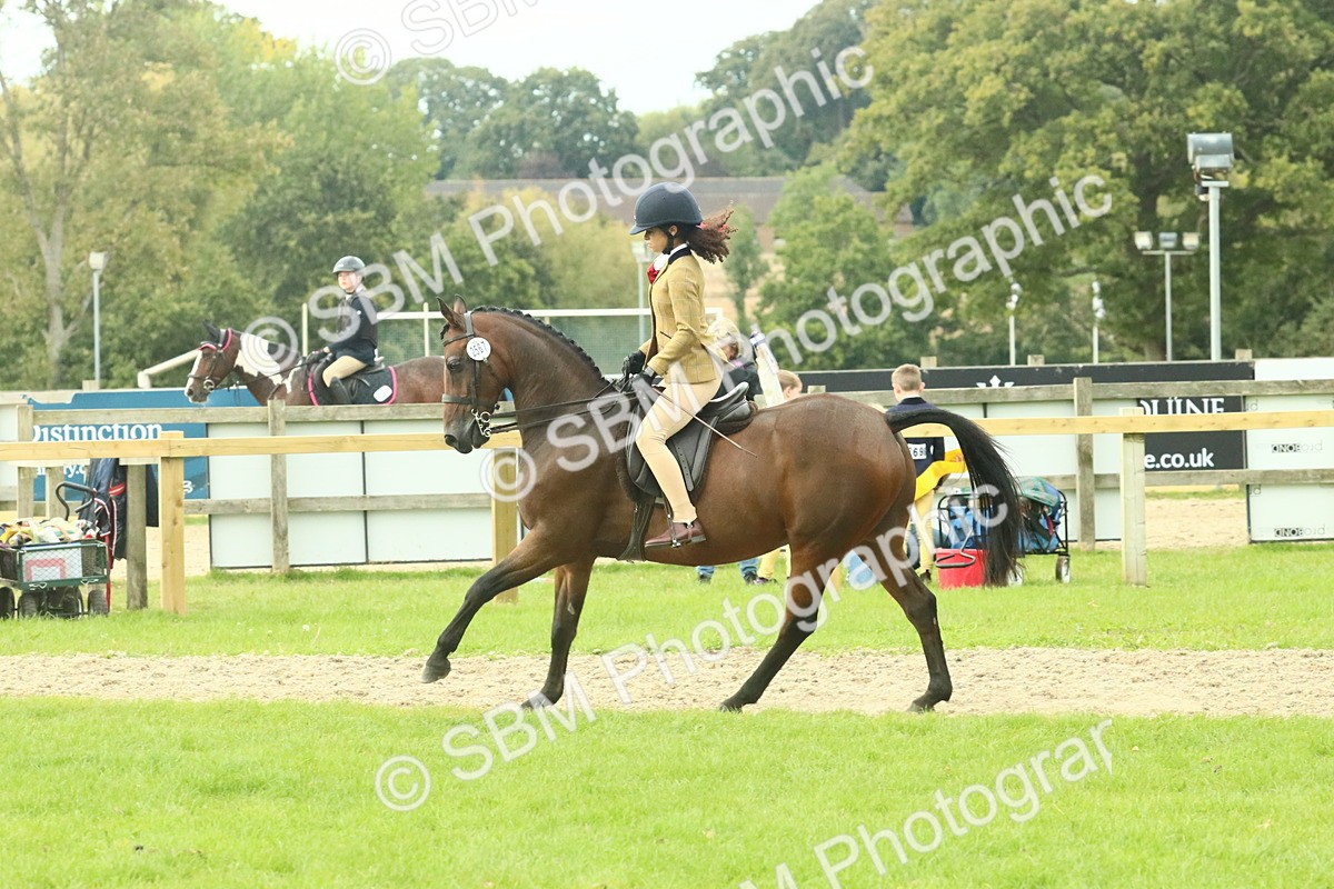 SBM_74082 - S 61 - Show Pony & Show Hunter Pony Ridden