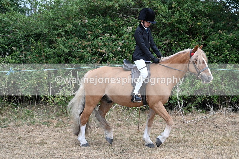 WJ7_6954 - Class 2 Best Rider