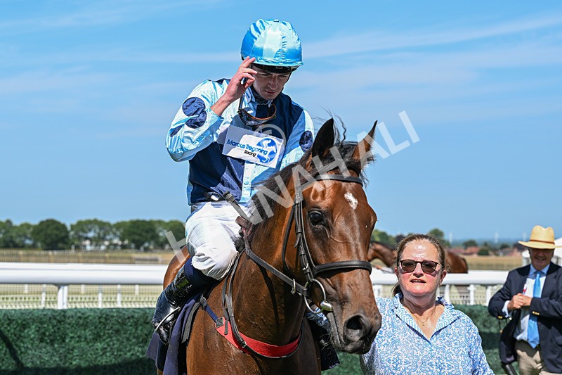 230626-Race 3-Tamzan-0754 - Race 3 15.15pm Big Racing Weekender Next 3 And 4 July Restricted Maiden Stakes
