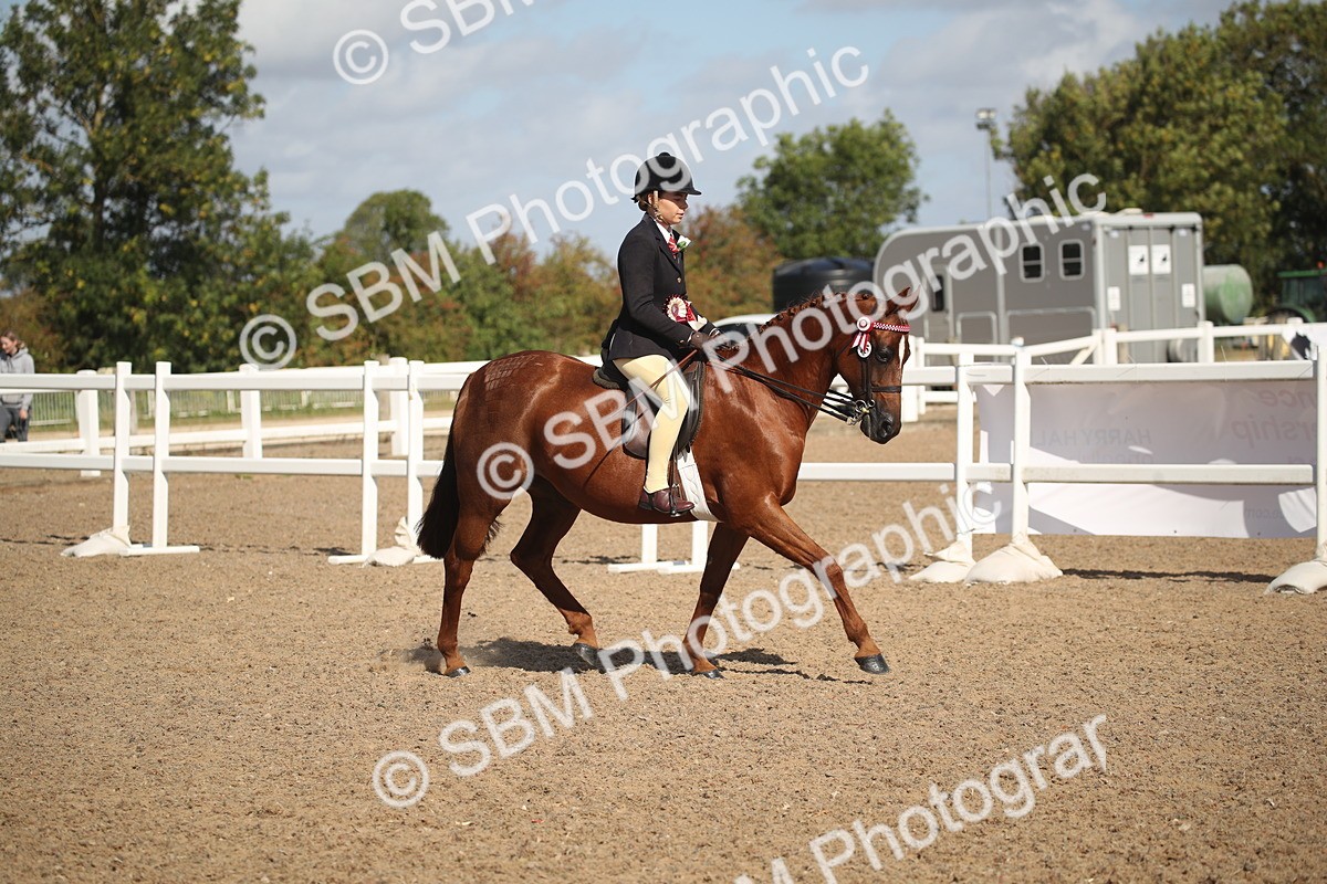 SBM_23005 - Class 603 - 2026 - Ridden Pre Vet