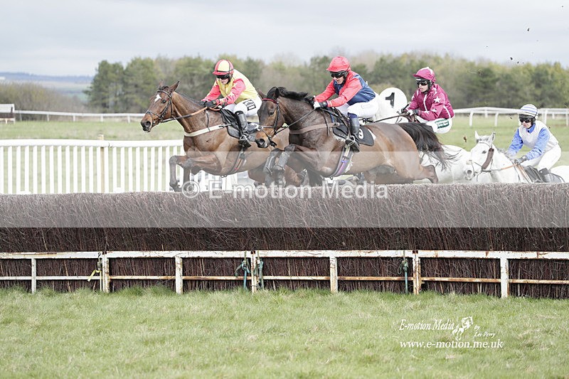PtP 260323 0381 - New Forest Hounds Point-to-Point Larkhill 26/03/23