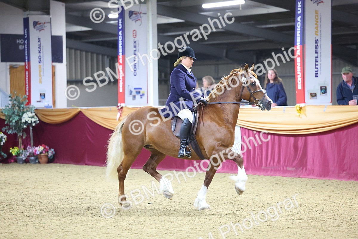 0B8A4598 - Class Q Style & Performance Champ