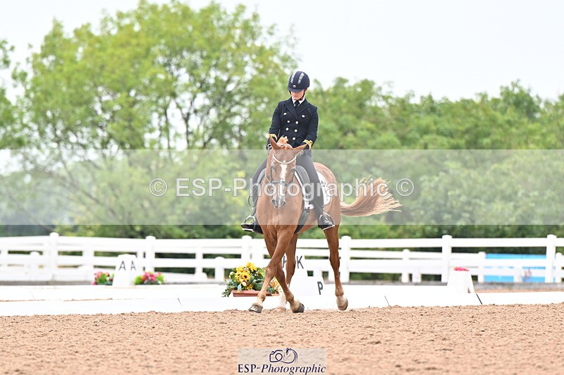 240815A-135920-01719 - 170-India.John-Grayswood.Orlando