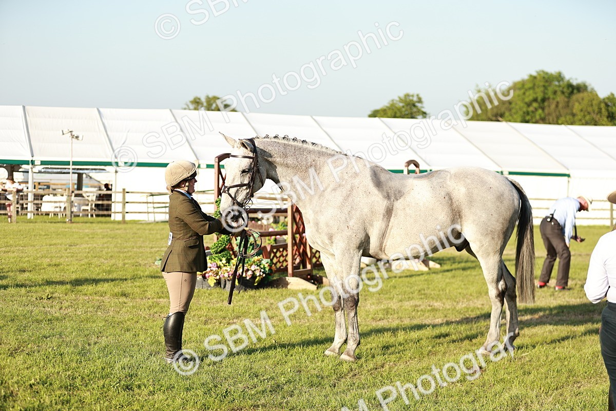SBM_20549 - Class 117-119 - Sport Horse Working Hunter