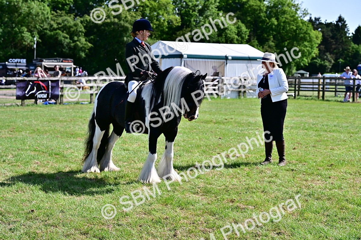 SBM_09338 - Class 63-65 - Traditional Gypsy Cobs In Hand & Ridden