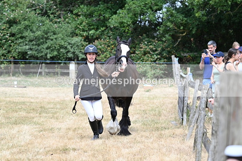 WJ7_1667 - Class 4 Prettiest Mare up to 14.2hh in hand