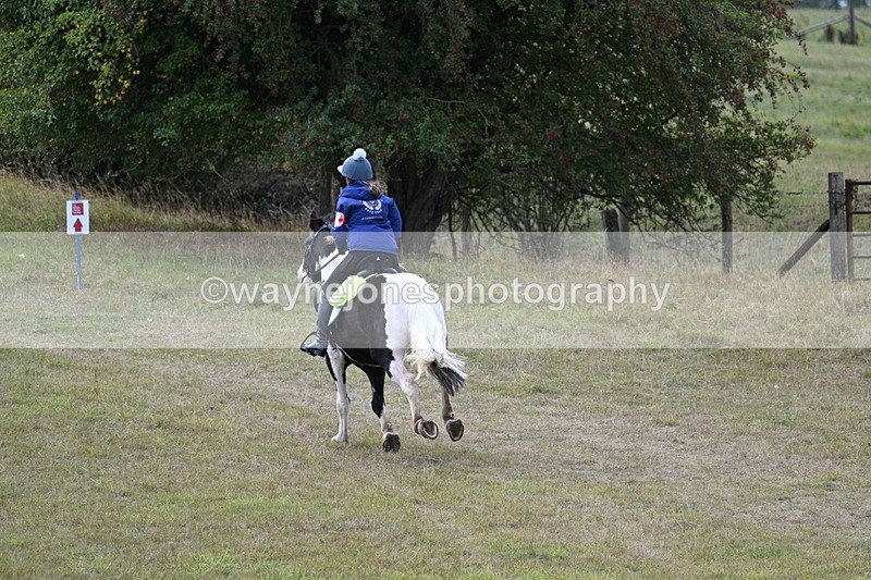 WJ7_5985 - Time 11:50 to 12:09