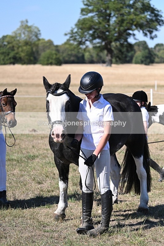 WJ7_1905 - Class 43 Best Six Legs (In hand)