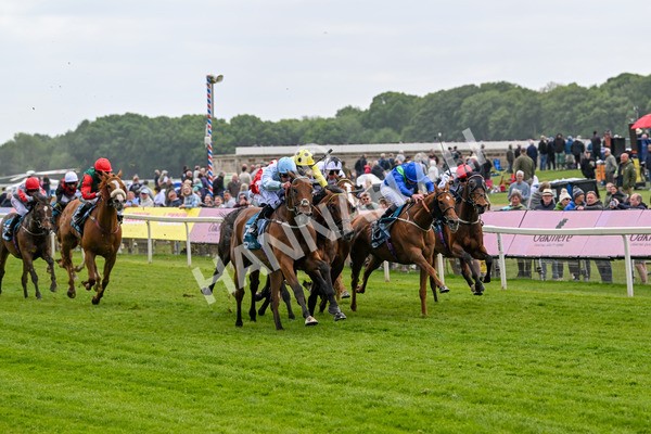150525-Old Cock-4057 - Race 2 2.42pm Oakmere Homes Hambleton Handicap