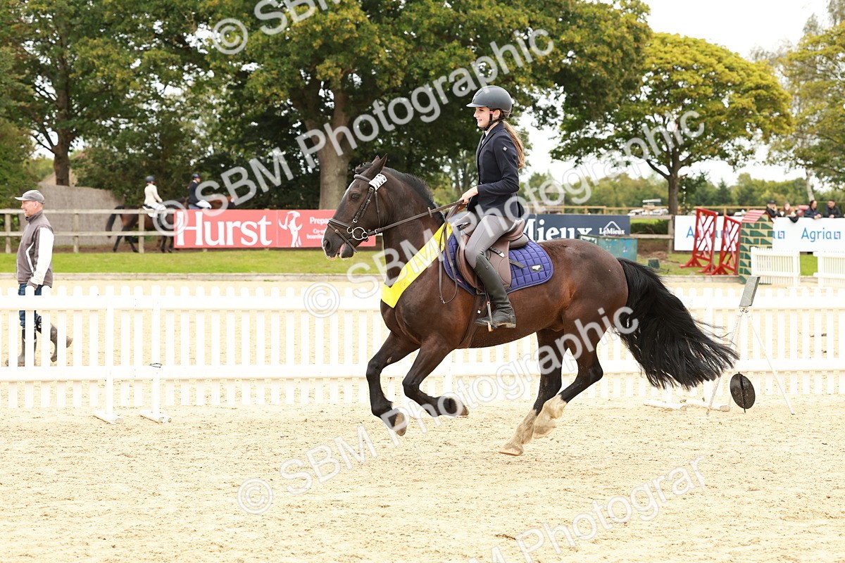 SBM_63933 - J12 - Junior Pony 55cm Championship
