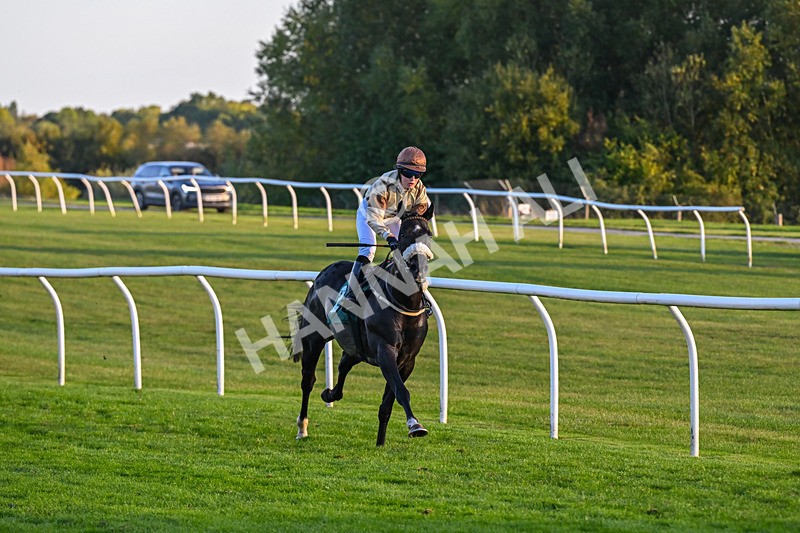 300926-Race 8-Jojo Rabbit-7174 - Race 8 5.55pm Racing Again 17th October Amateur Jockeys' Handicap