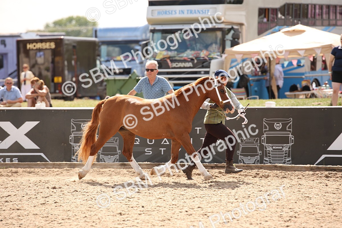 SBM_04569 - Class 20 IH Veteran