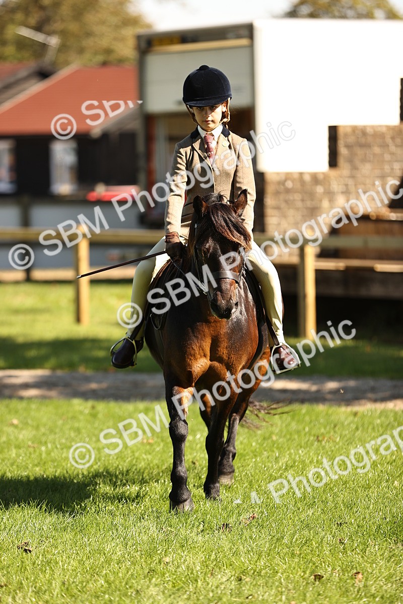 SBM_19258 - S3 - TSR Ridden Pony Showing