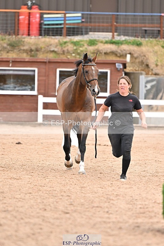 250716-155422-02263 - Trot Up 3.30 to 4.30