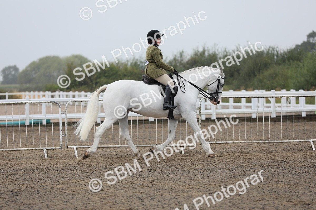 SBM_20277 - Class 803 - Ridden Combination 65+