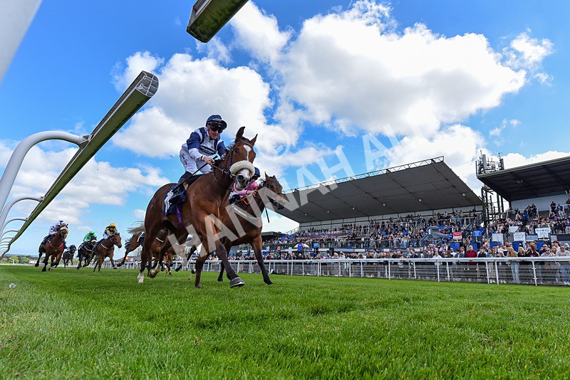 040526-Race 2-Moonlight Tango-7439 - Race 2