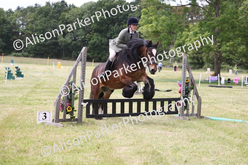 20260614-2921 - Class 22 - Open Working Hunter