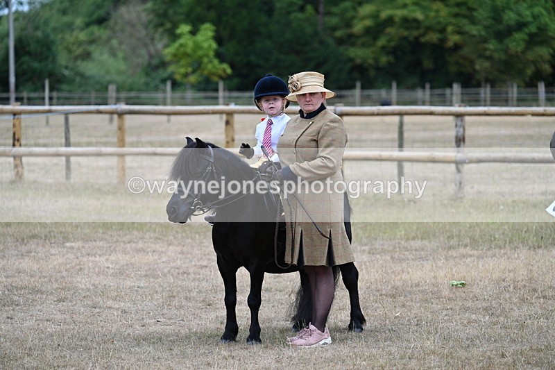 WJ7_8345 - Class 4 Prettiest Mare up to 14.2hh