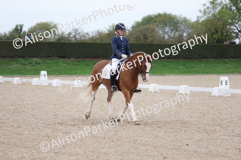 20251011-0395 - Class 4 - Novice 2