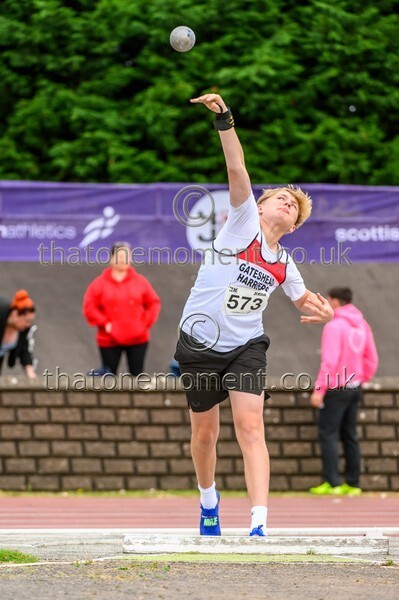 Sen25SAT-921599 - Field Male Set Two