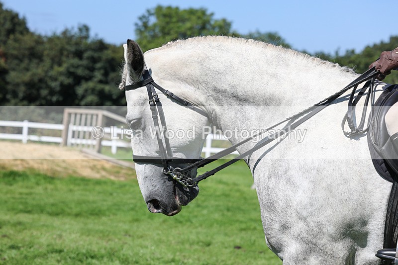 3E7A8442 - Class 4: Novice working Hunter