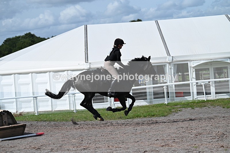 WJ7_2241 - Time 13:17 to 13:53