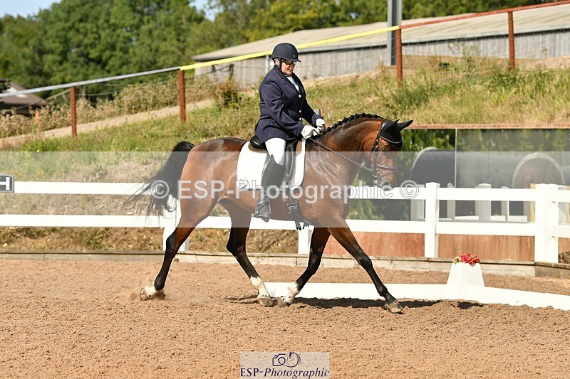 250817-155517-11389 - 211-Carey.CollettRubin's.Fanfare