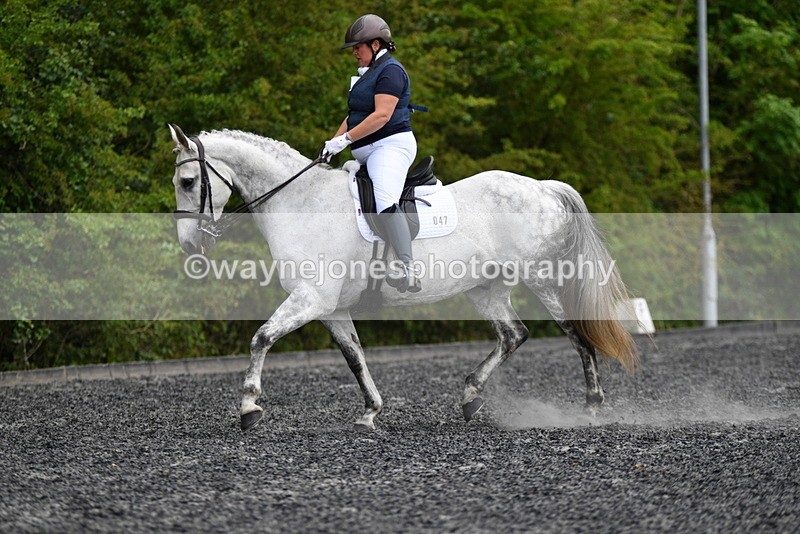 WJ5_2098 - Time 15:05 to 15:30