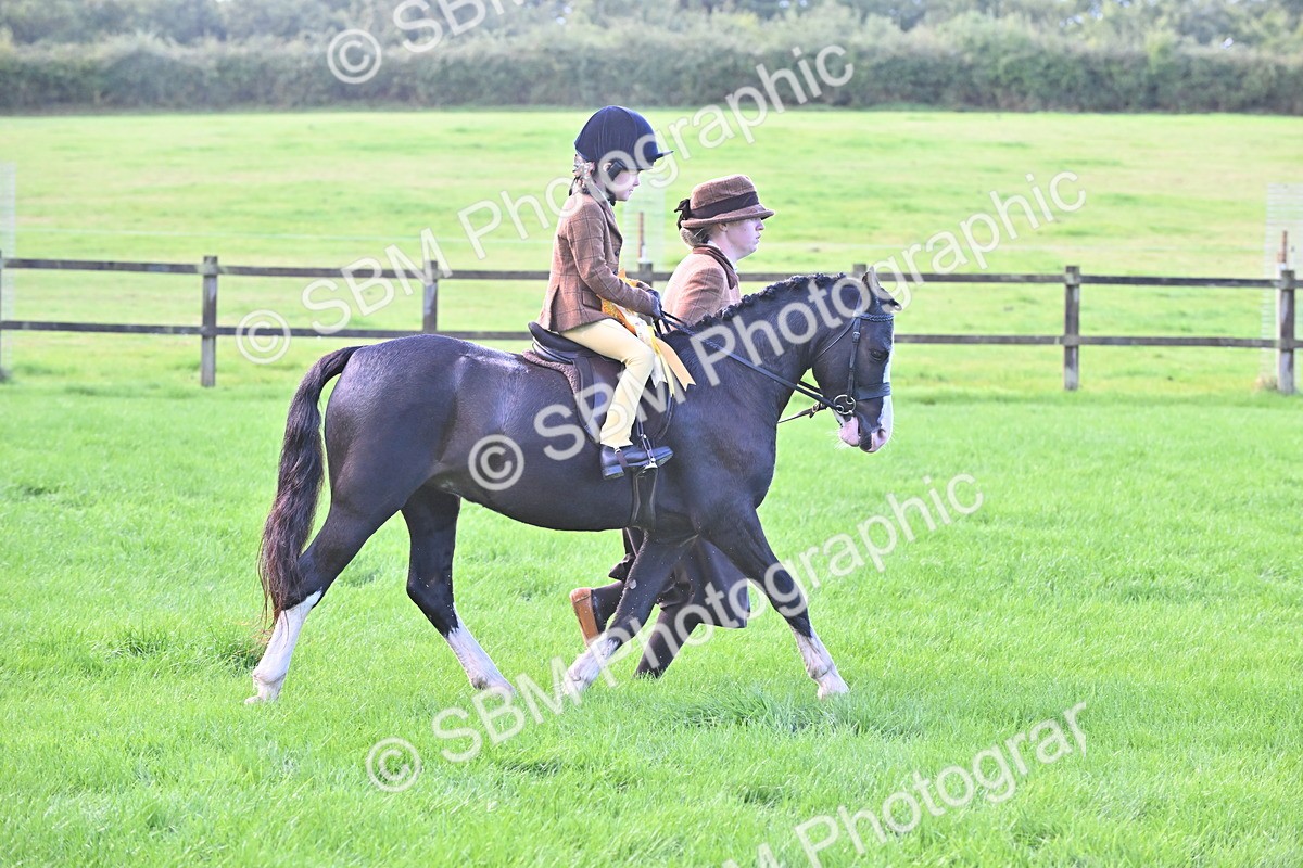 SBM_36537 - S18 - Novice & Newcomer Lead Rein Pony