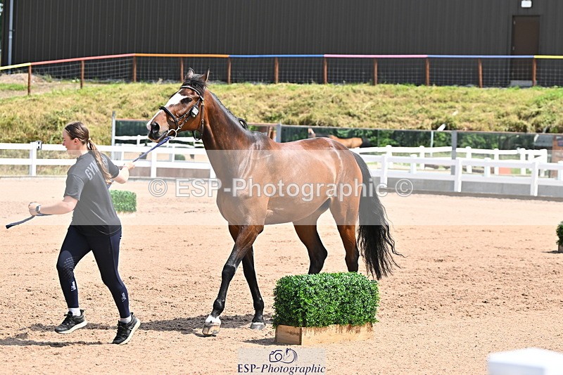 240718A-105256-01353 - Trot Up 12pm to 1pm