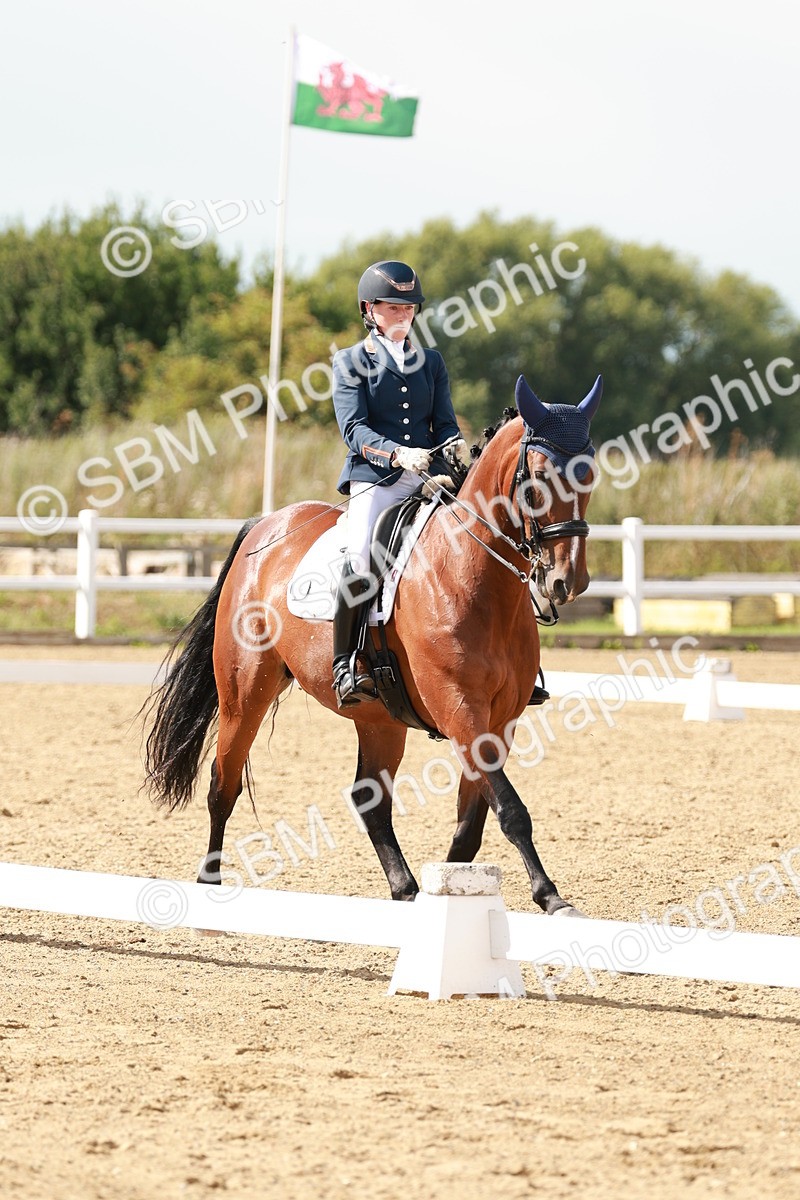 SBM_002497 - Class 11 - Medium 6