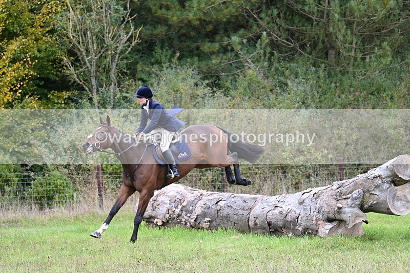 WJ7_3691 - Camera 1 Line 1