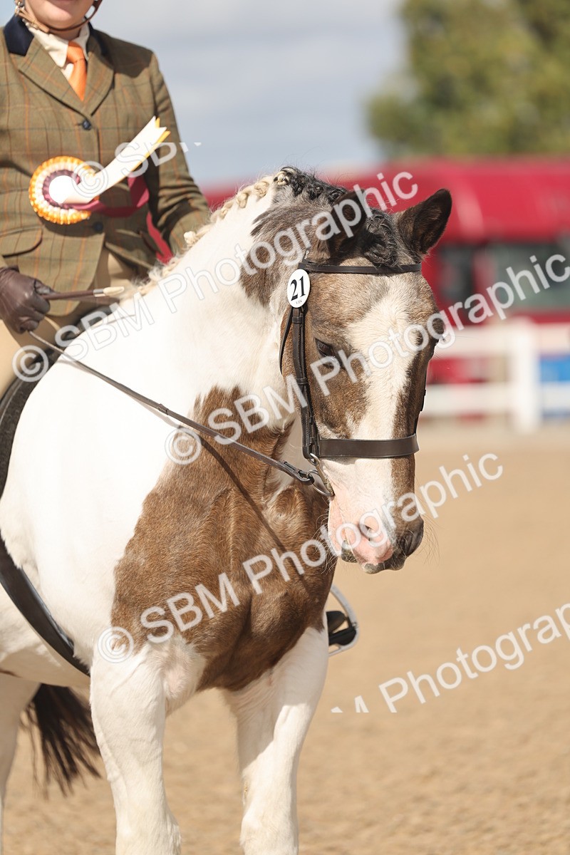 SBM_23277 - Class 807 - young Rider 11 to 16 Years