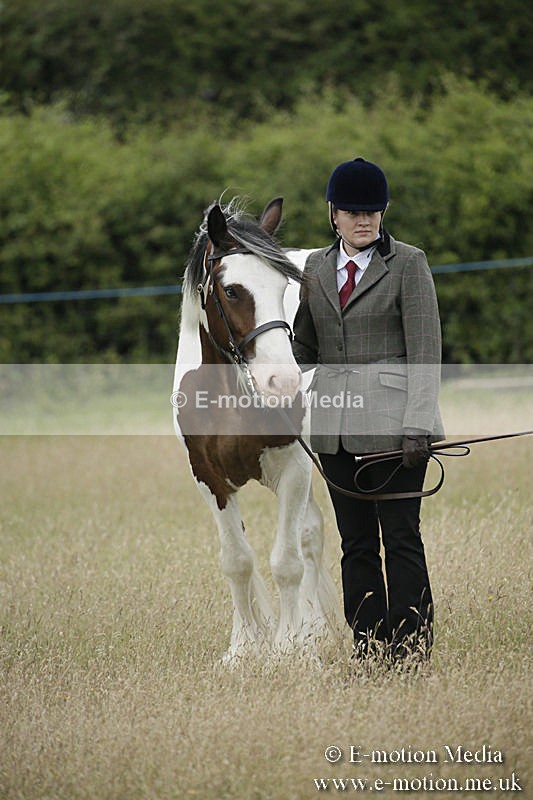 B230619-0058 - Bourne Valley Riding Club Summer Show 23/06/19