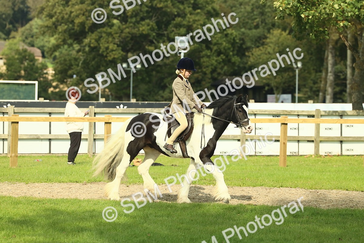 SBM_68897 - S58 - Mini Show Cob Ridden
