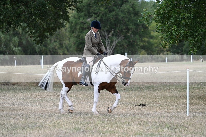 WJ7_4826 - Class 12 Ridden Cob