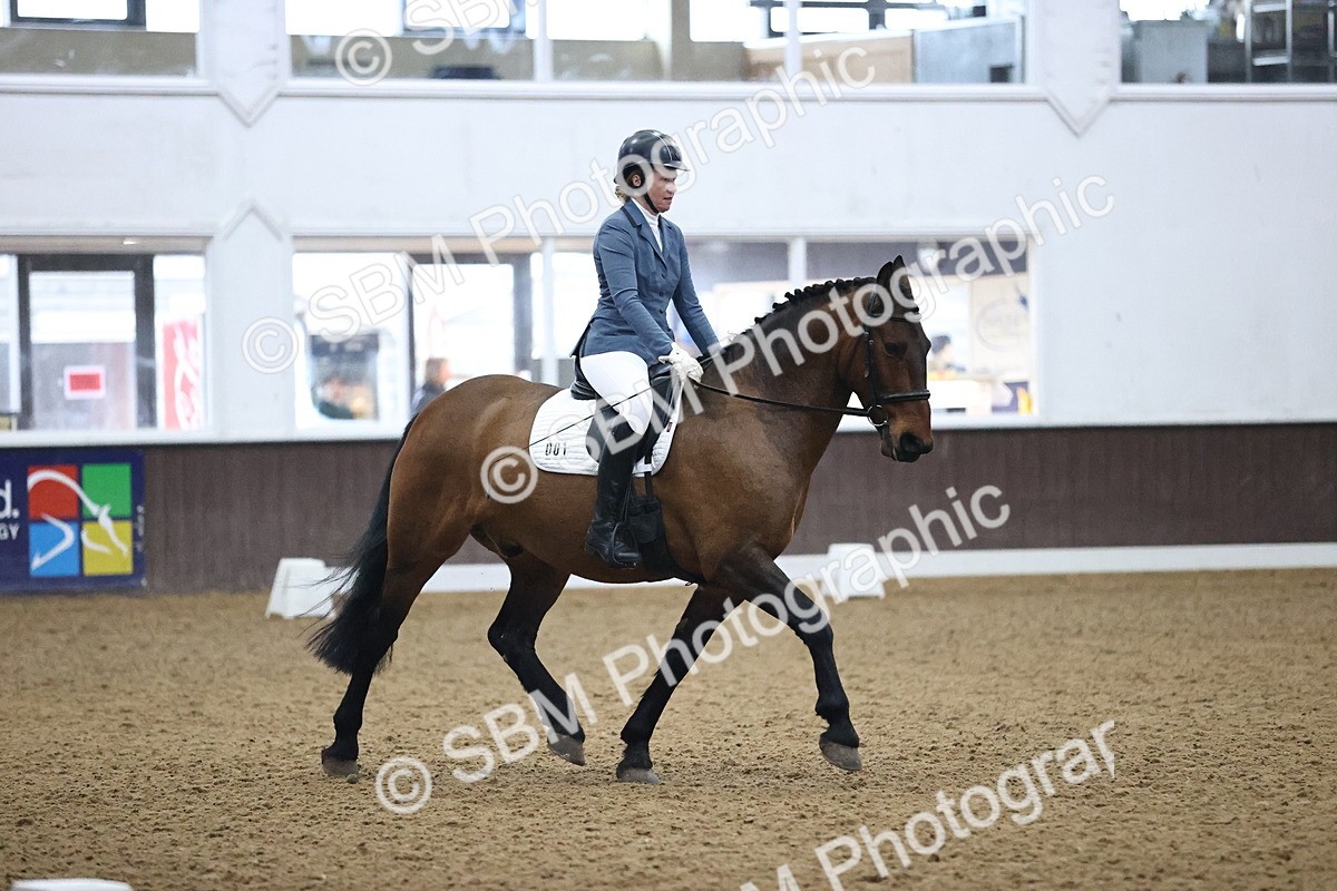 SBM_002109 - Class 4 - Novice 5