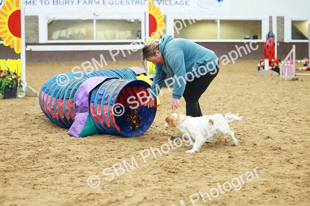 SBM_002534 - Class 3 - Horse & Hound (60cm)