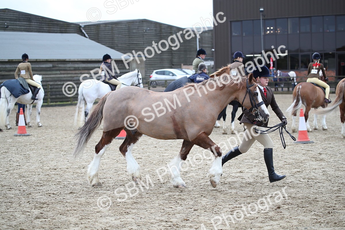 SBM_006164 - Class 10-13 - RIHS Small Large Breeds