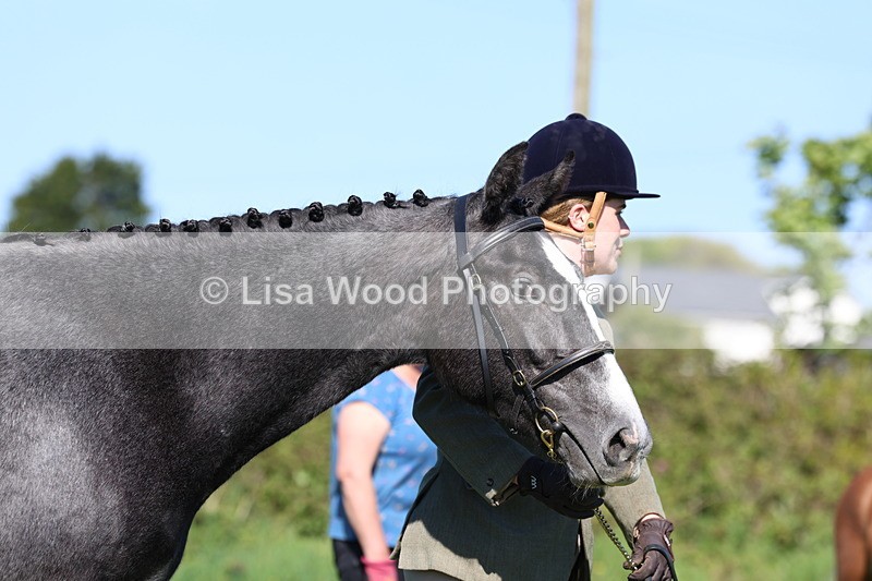 3E7A9063 - Class 15: Two/Three Year olds