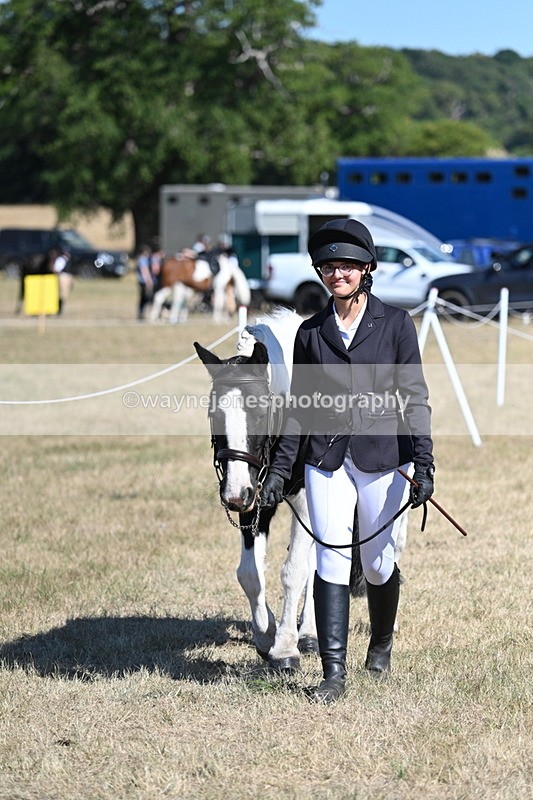 WJ7_1820 - Class 43 Best Six Legs (In hand)