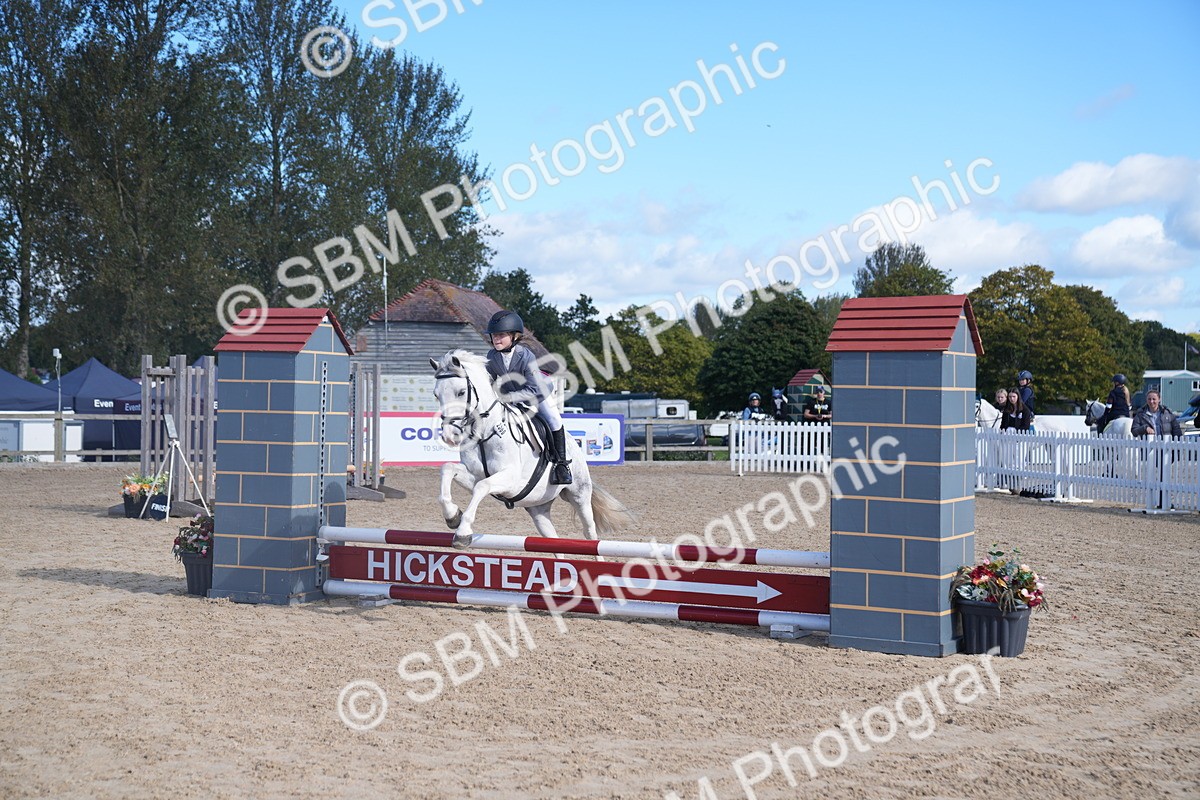 SBM_02461 - J54 Clear Round 45cm