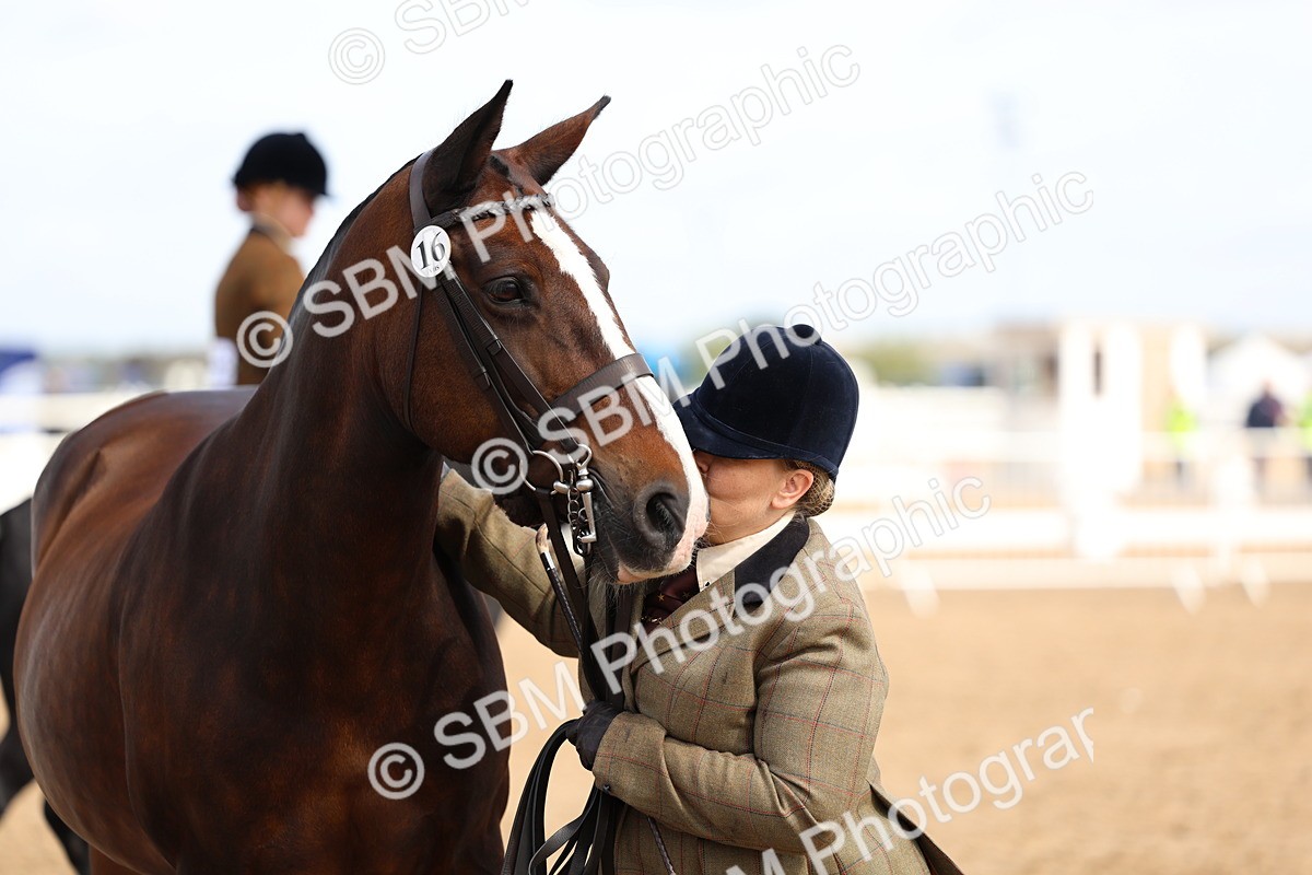 SBM_02396 - Class 19 - Horse or Pony Judge would most like to take home