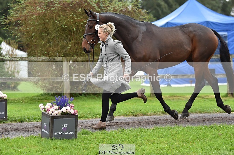 231018-122138-00235 - 030-MONBEG.SHELBY-Kat.Raybould-TrotUp