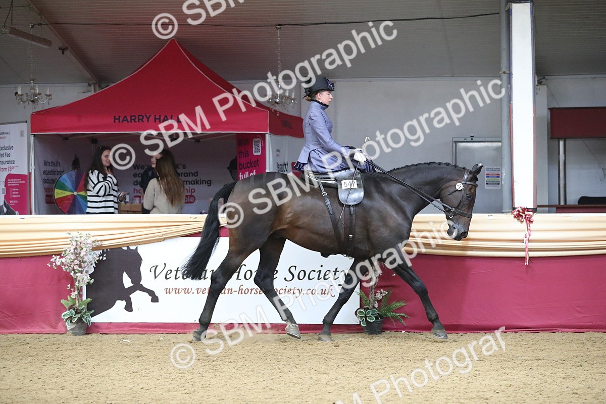 SBM_11520 - Class 105 Ridden Costume- Side Saddle